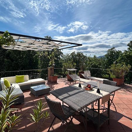 卢卡La Terrazza Fra Le Torri公寓 外观 照片