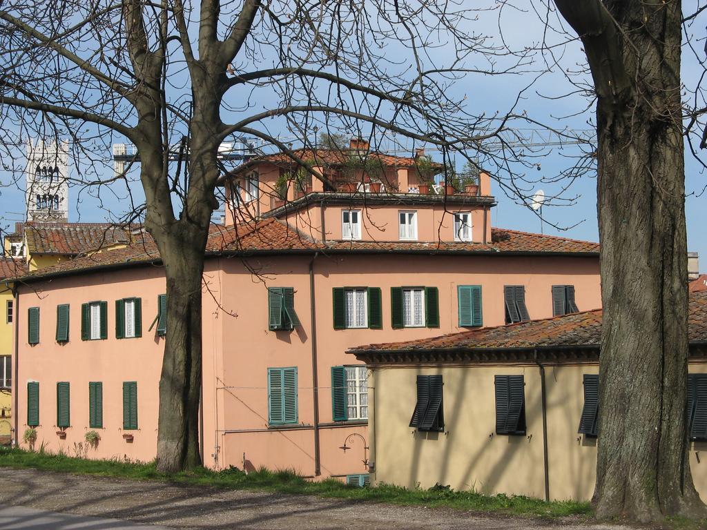 卢卡La Terrazza Fra Le Torri公寓 外观 照片